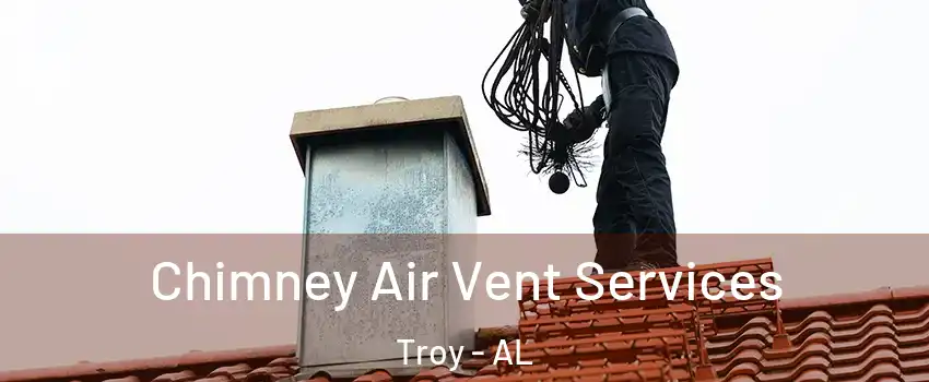  Chimney Air Vent Services Troy - AL