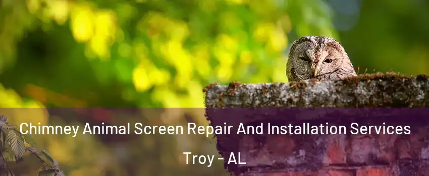  Chimney Animal Screen Repair And Installation Services Troy - AL