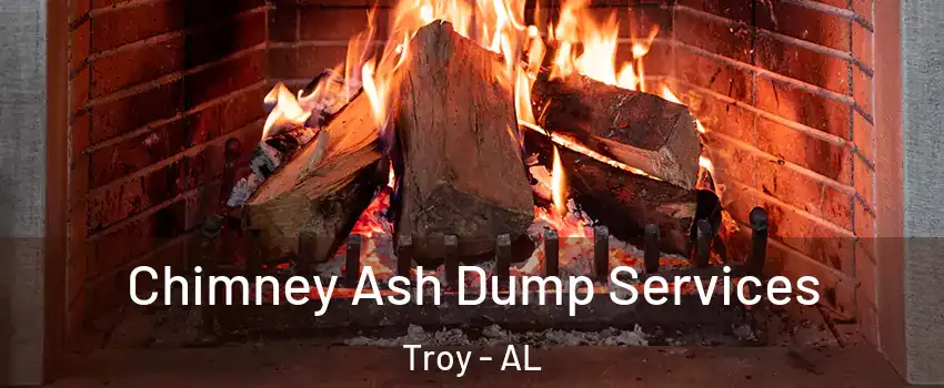  Chimney Ash Dump Services Troy - AL