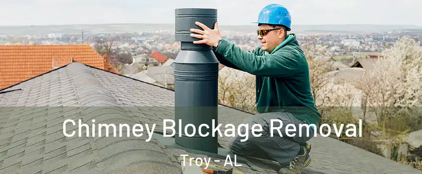  Chimney Blockage Removal Troy - AL