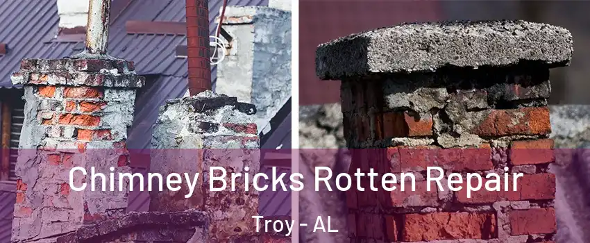  Chimney Bricks Rotten Repair Troy - AL