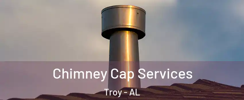  Chimney Cap Services Troy - AL