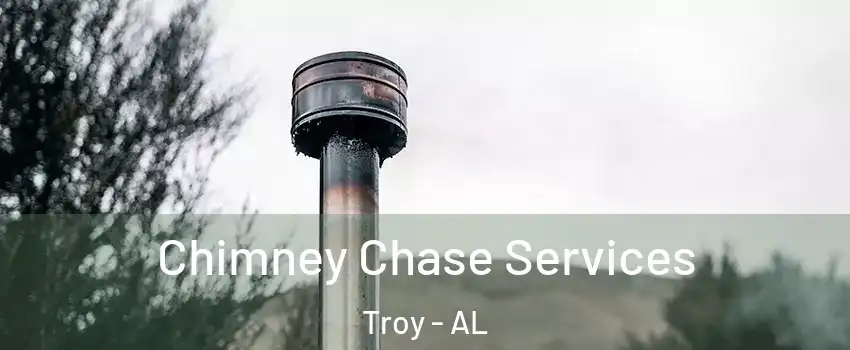  Chimney Chase Services Troy - AL