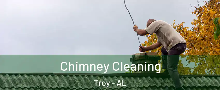  Chimney Cleaning Troy - AL
