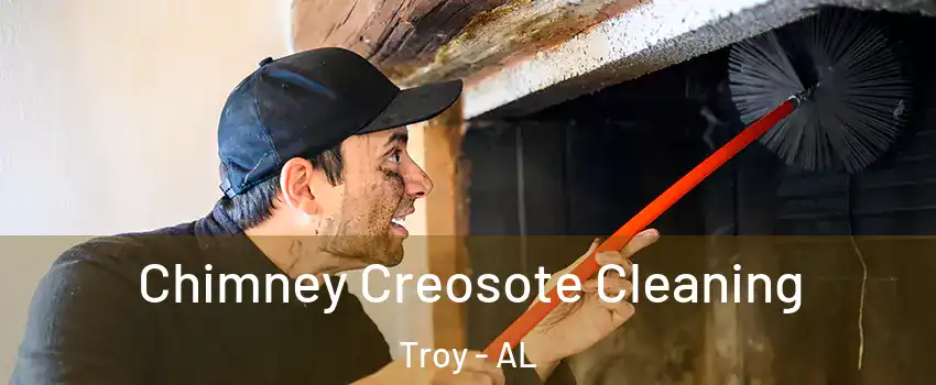  Chimney Creosote Cleaning Troy - AL