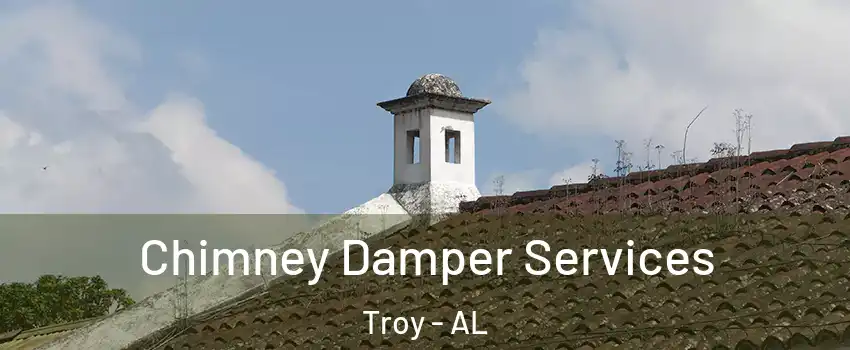  Chimney Damper Services Troy - AL