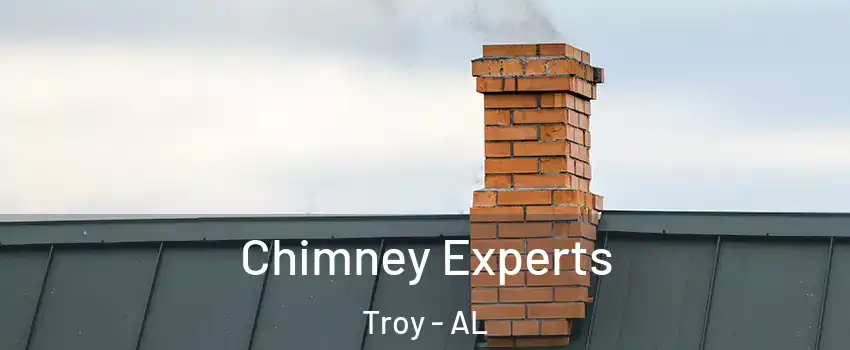 Chimney Experts Troy - AL