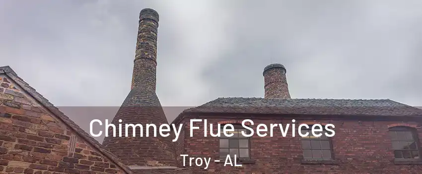  Chimney Flue Services Troy - AL