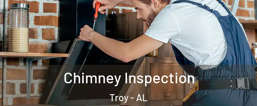  Chimney Inspection Troy - AL