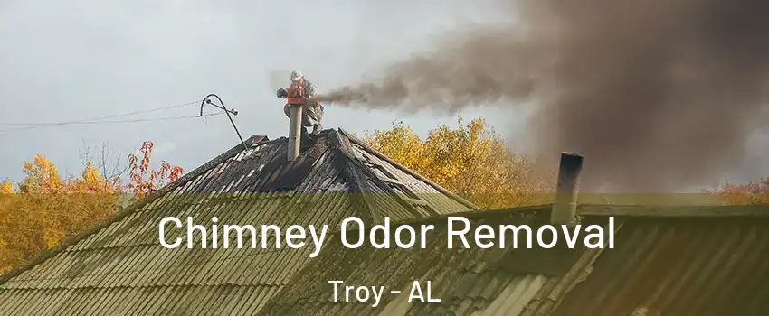  Chimney Odor Removal Troy - AL