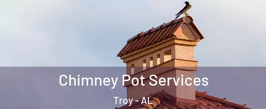  Chimney Pot Services Troy - AL