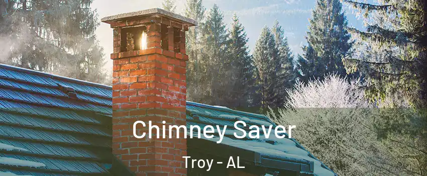  Chimney Saver Troy - AL