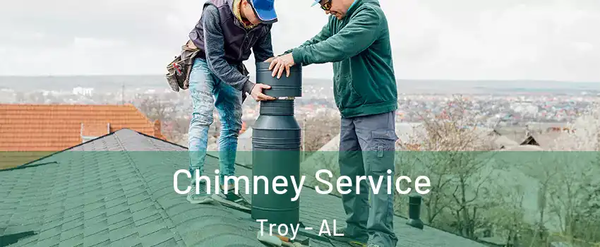  Chimney Service Troy - AL