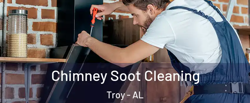  Chimney Soot Cleaning Troy - AL