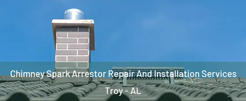  Chimney Spark Arrestor Repair And Installation Services Troy - AL