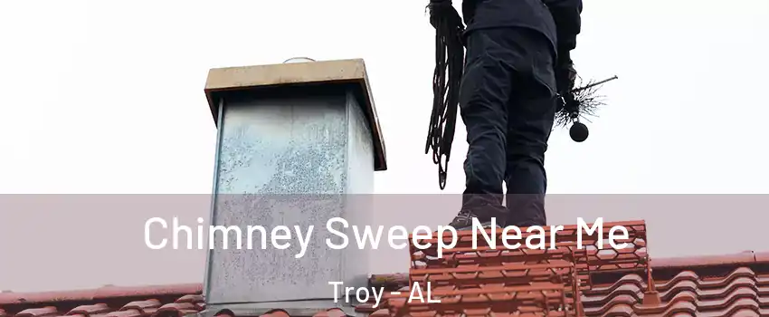  Chimney Sweep Near Me Troy - AL
