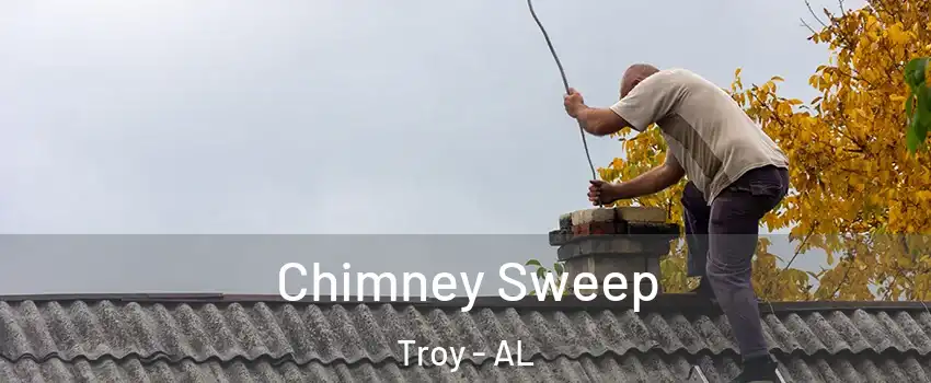  Chimney Sweep Troy - AL