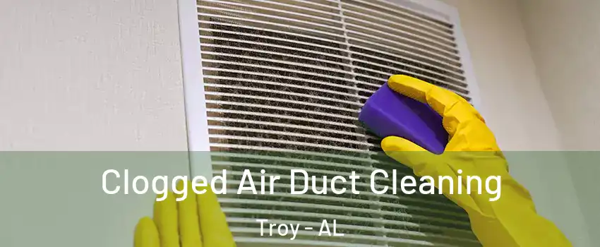  Clogged Air Duct Cleaning Troy - AL