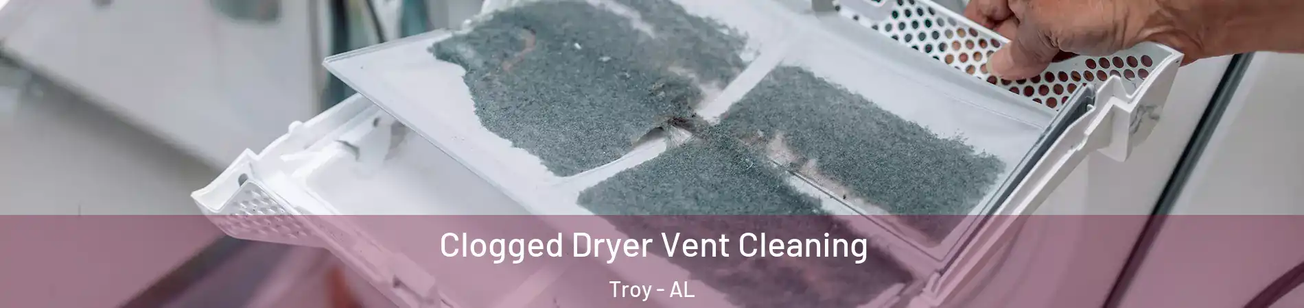  Clogged Dryer Vent Cleaning Troy - AL