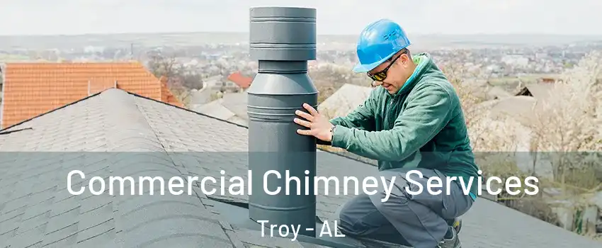  Commercial Chimney Services Troy - AL