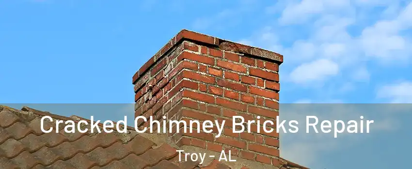  Cracked Chimney Bricks Repair Troy - AL