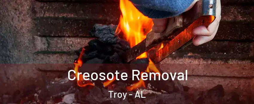  Creosote Removal Troy - AL
