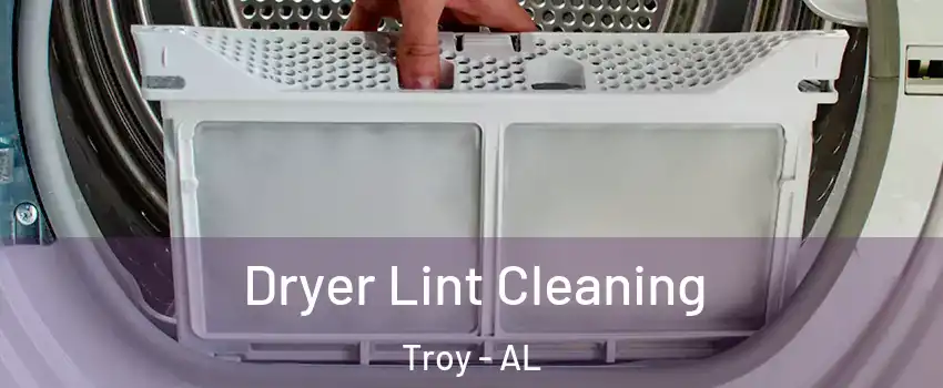  Dryer Lint Cleaning Troy - AL