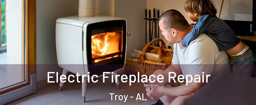 Electric Fireplace Repair Troy - AL