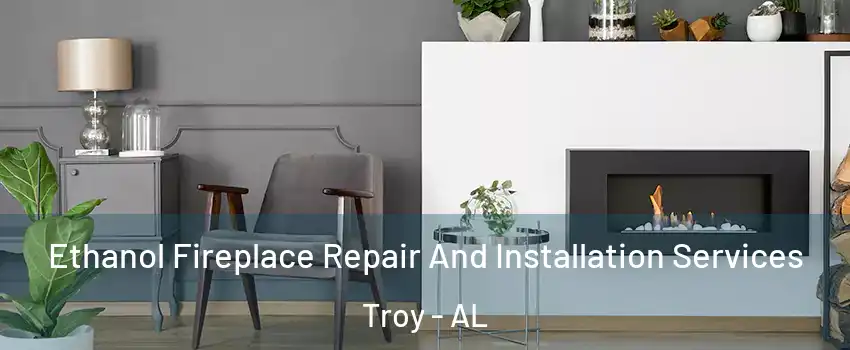  Ethanol Fireplace Repair And Installation Services Troy - AL