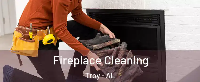  Fireplace Cleaning Troy - AL