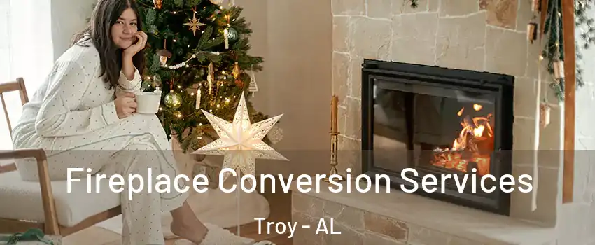  Fireplace Conversion Services Troy - AL