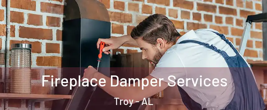 Fireplace Damper Services Troy - AL