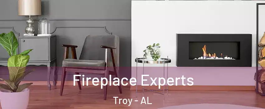  Fireplace Experts Troy - AL
