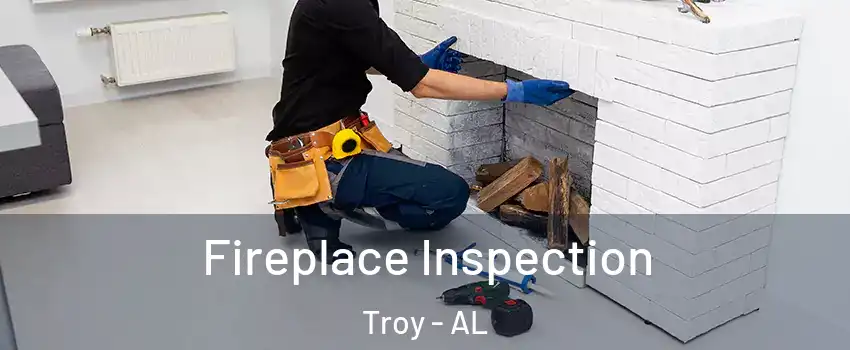  Fireplace Inspection Troy - AL