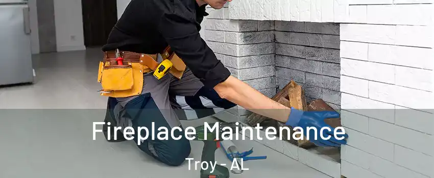  Fireplace Maintenance Troy - AL