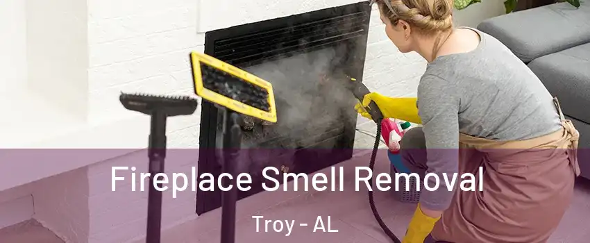  Fireplace Smell Removal Troy - AL