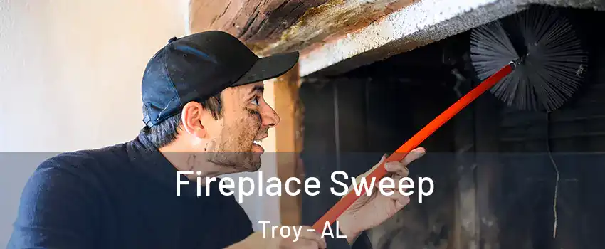  Fireplace Sweep Troy - AL