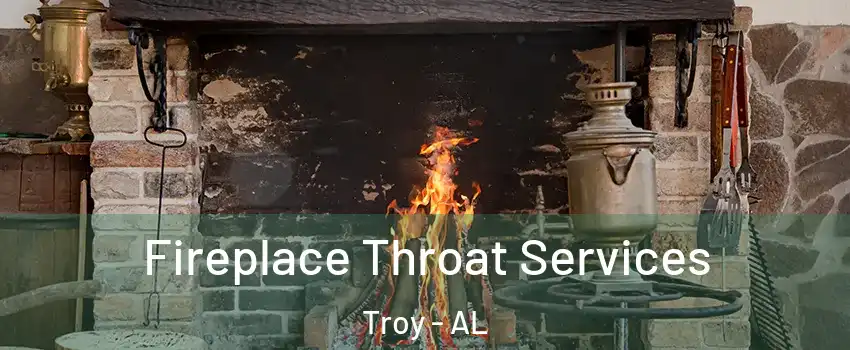  Fireplace Throat Services Troy - AL