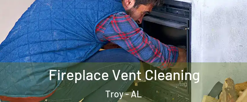  Fireplace Vent Cleaning Troy - AL