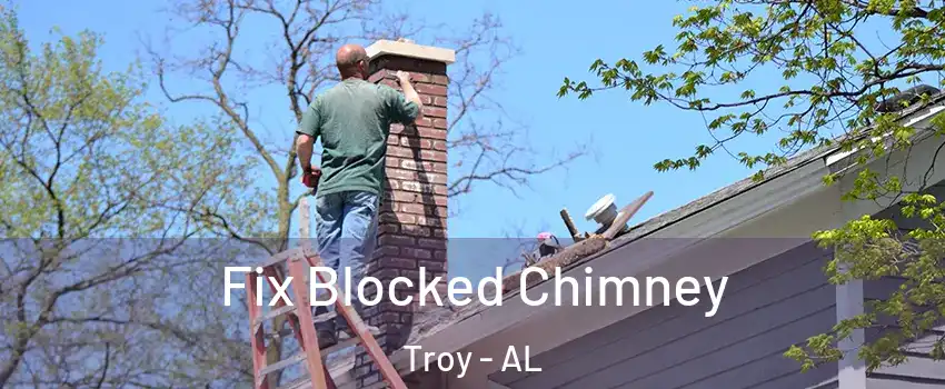  Fix Blocked Chimney Troy - AL