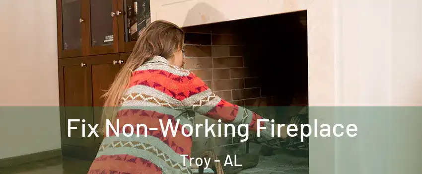  Fix Non-Working Fireplace Troy - AL
