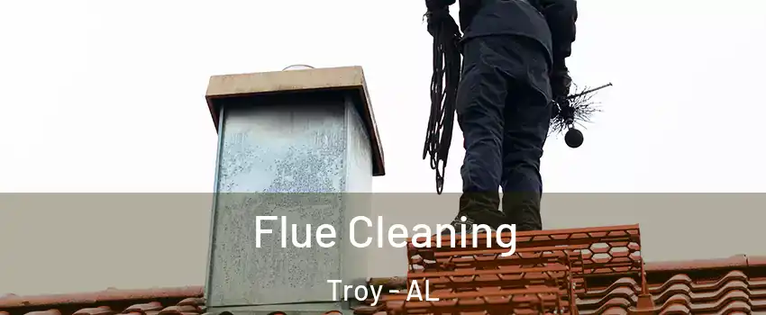  Flue Cleaning Troy - AL
