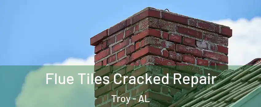  Flue Tiles Cracked Repair Troy - AL