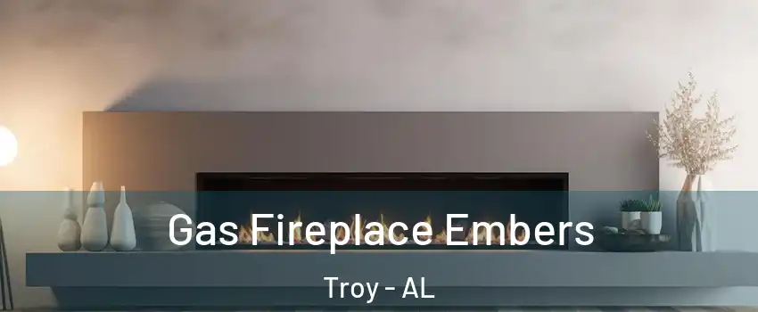  Gas Fireplace Embers Troy - AL