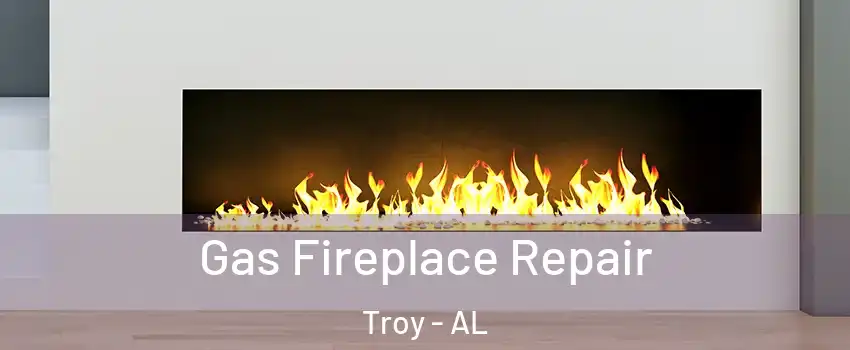  Gas Fireplace Repair Troy - AL