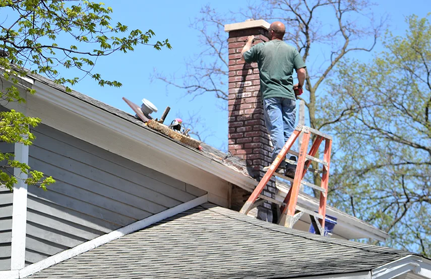 Chimney & Fireplace Inspections Services in Troy, AL