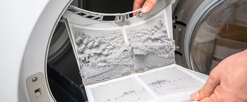 Best Dryer Lint Removal Company in Troy, Alabama