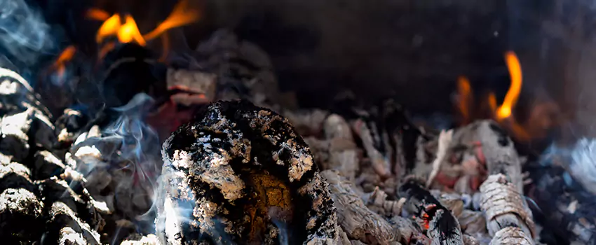 Creosote Removal Experts in Troy, AL