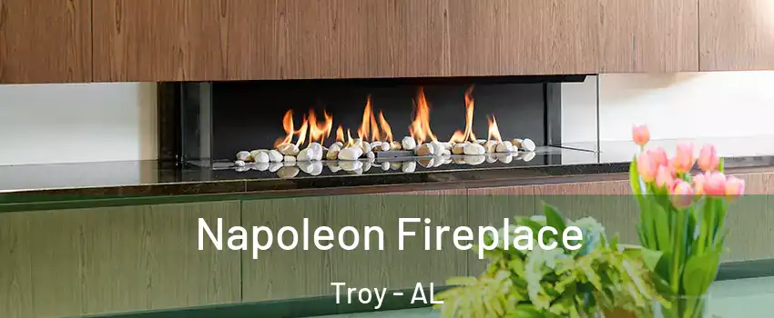  Napoleon Fireplace Troy - AL
