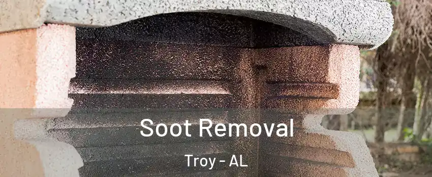  Soot Removal Troy - AL